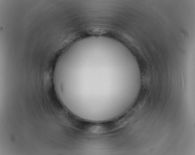 X0000113530460200910091226