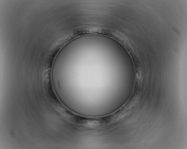 X0000113530462200910091226