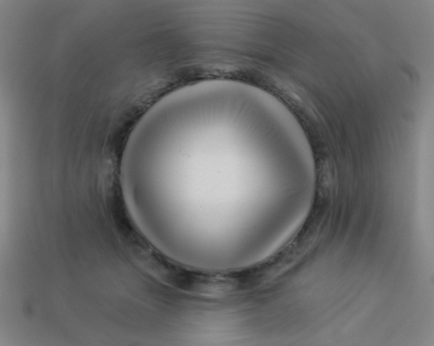 X0000113530463200910091226