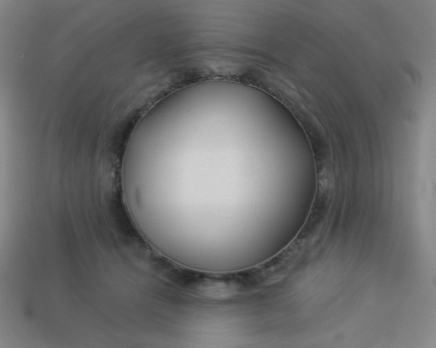 X0000113530464200910091226