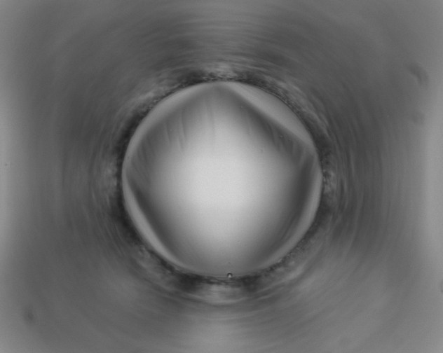 X0000113530466200910091226