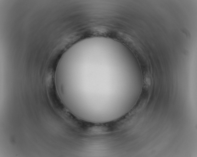 X0000113530468200910091226