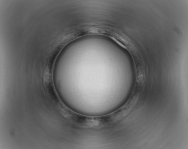 X0000113530469200910091226