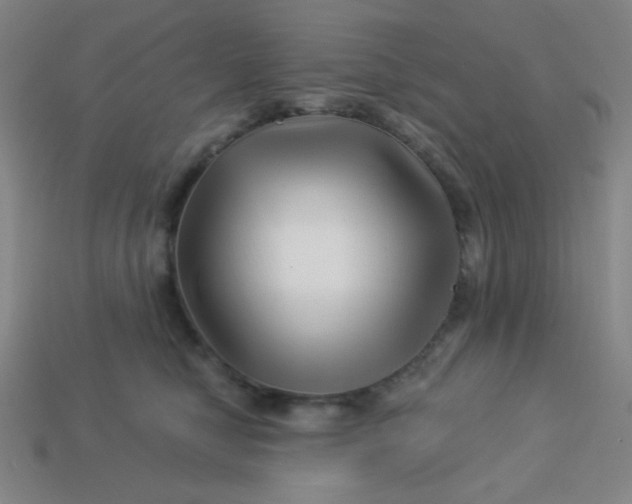 X0000113530470200910091226