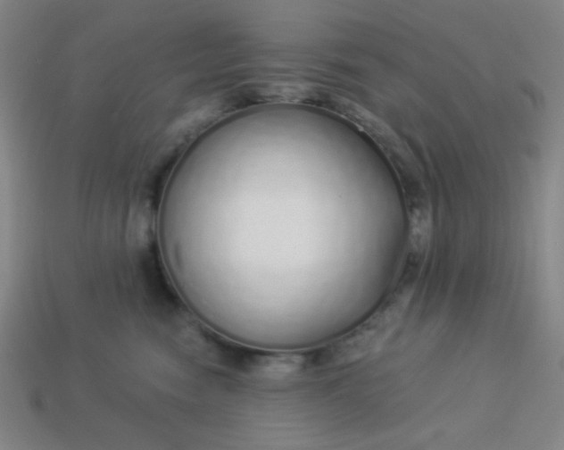 X0000113530474200910091226