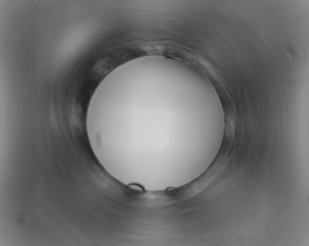 X0000113530477200910091226