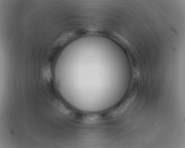 X0000113530479200910091226