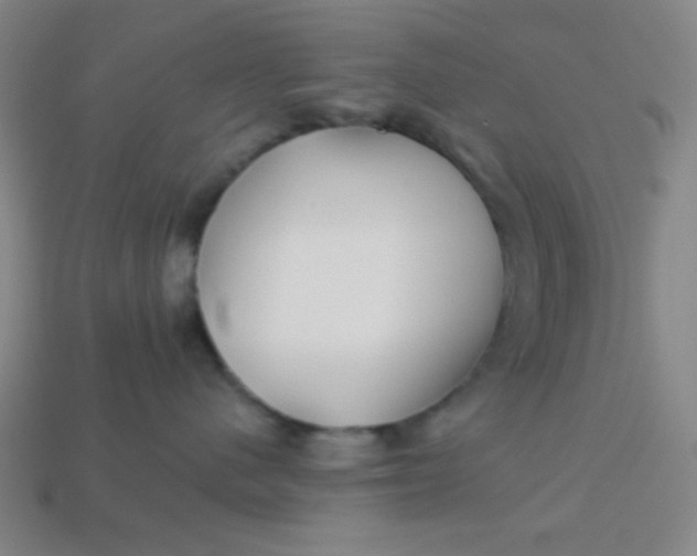 X0000113530480200910091227