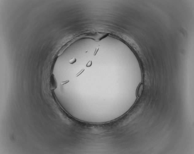 X0000113530481200910091226