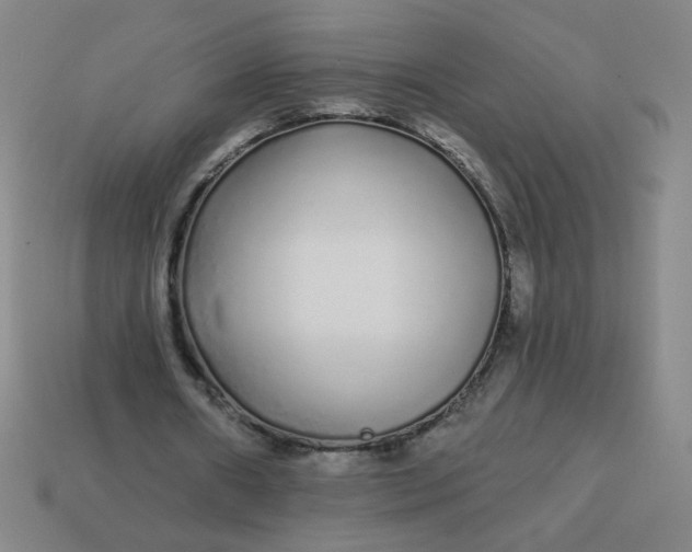 X0000113530482200910091226