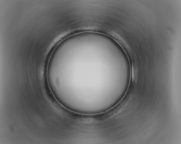 X0000113530483200910091226