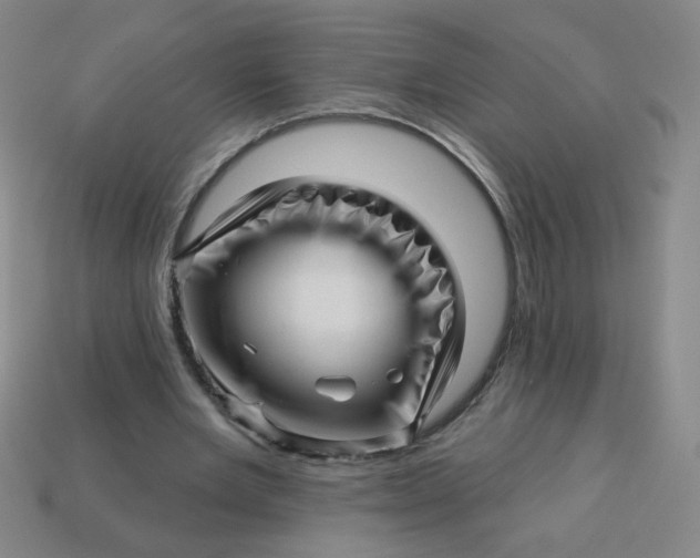 X0000113530485200910091226