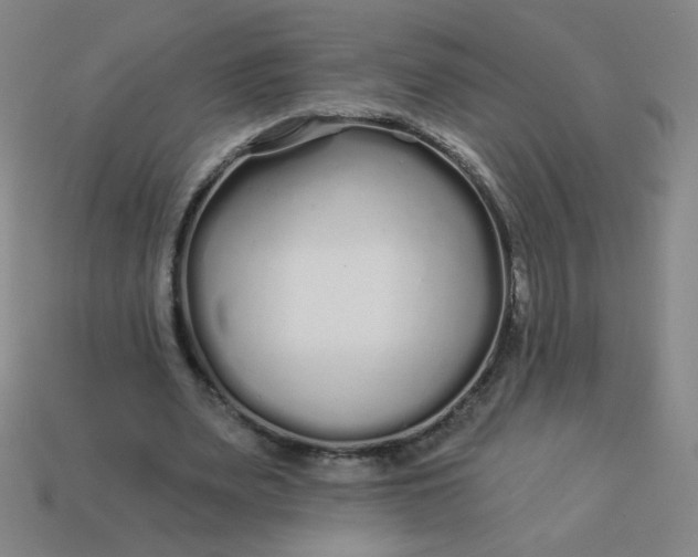 X0000113530487200910091226