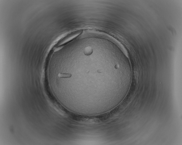 X0000113530488200910091226