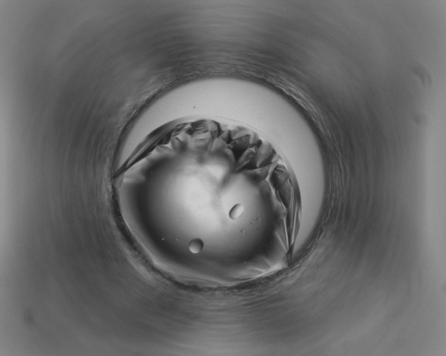 X0000113530489200910091226