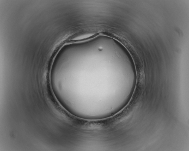 X0000113530491200910091226