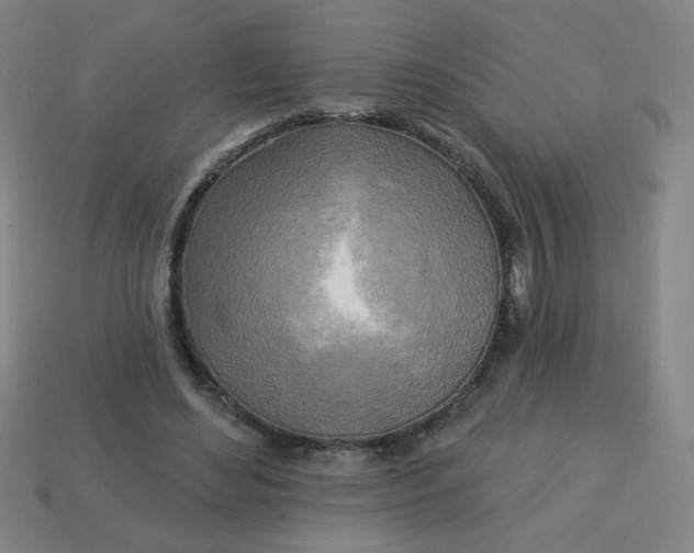 X0000113530492200910091226