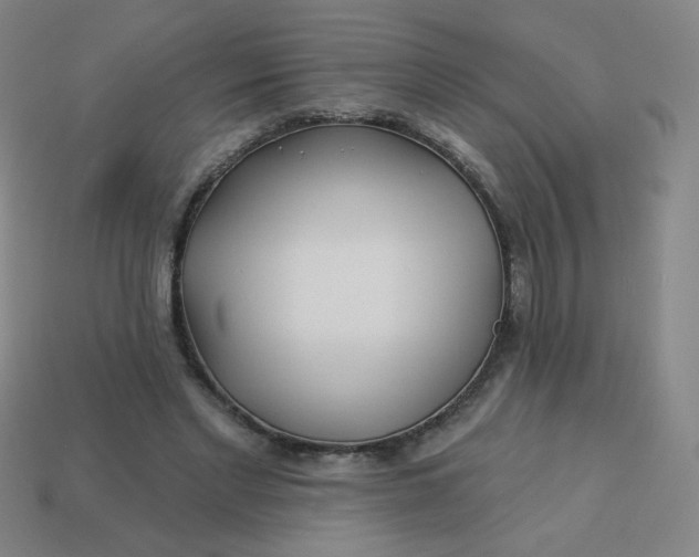 X0000113530493200910091226