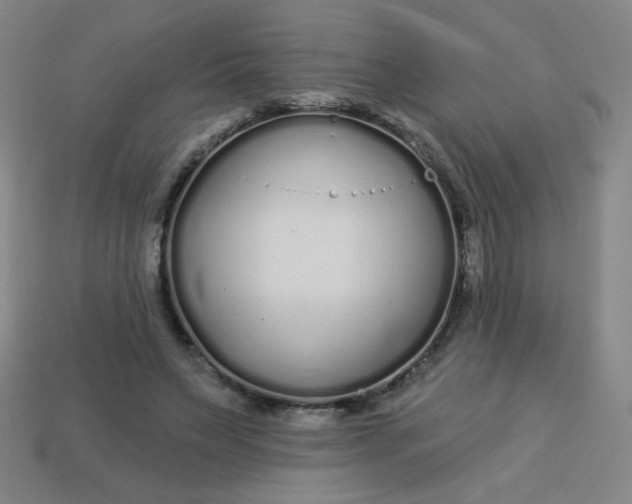 X0000113530495200910091226