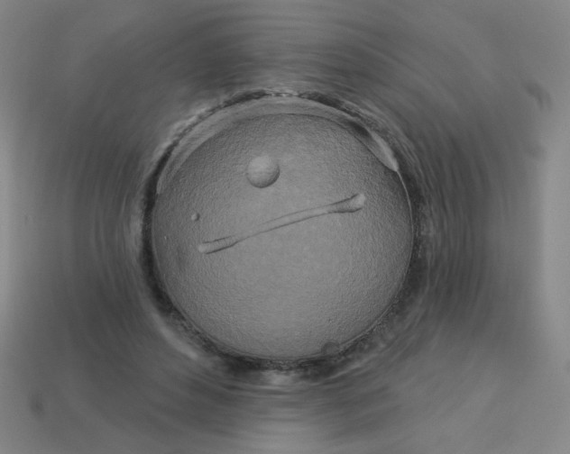 X0000113530496200910091226