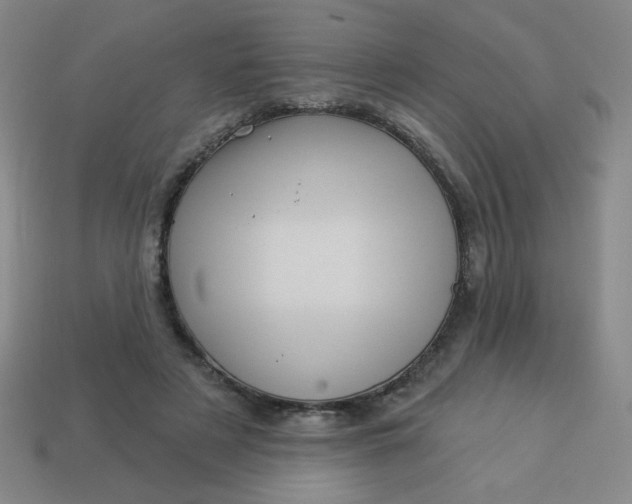 X0000113530497200910091226