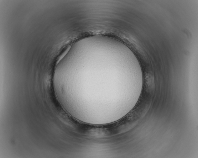 X0000113530499200910091226