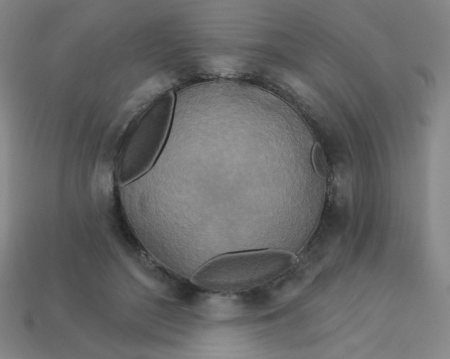 X0000113530500200910091226