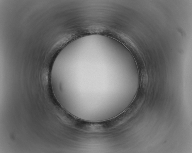 X0000113530501200910091226