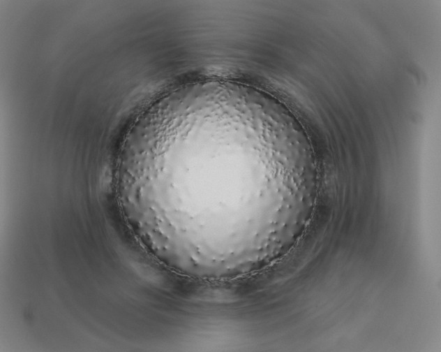 X0000113530502200910091226