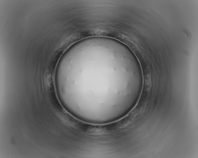 X0000113530503200910091226