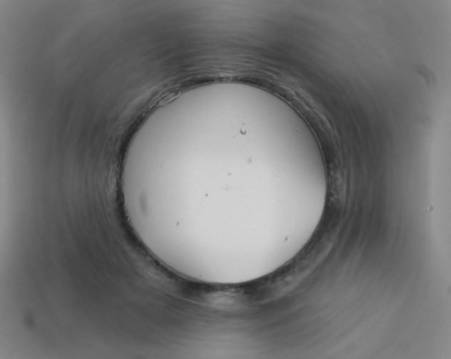 X0000113530505200910091226