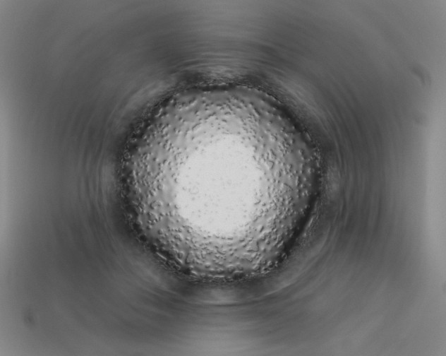 X0000113530506200910091226