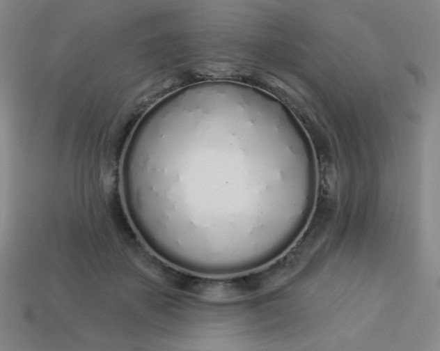 X0000113530507200910091226