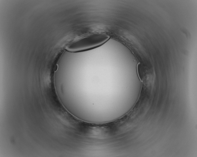 X0000113530508200910091226