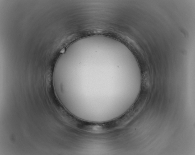 X0000113530509200910091226