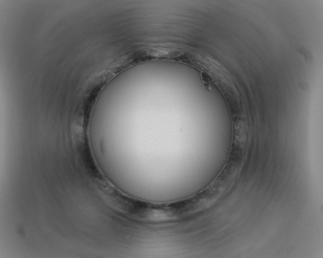 X0000113530510200910091226