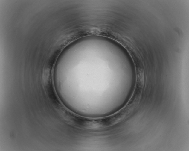 X0000113530511200910091226