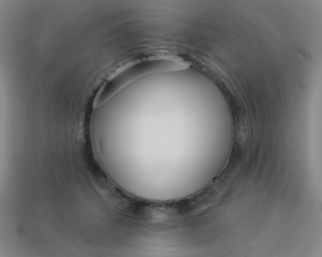 X0000113530512200910091225