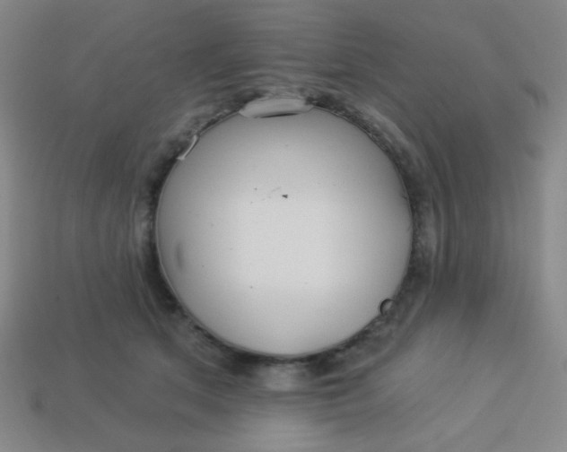 X0000113530513200910091225