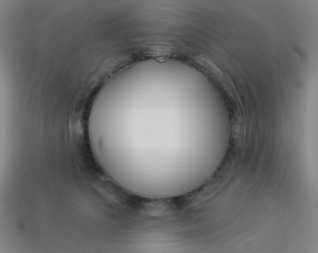 X0000113530516200910091225