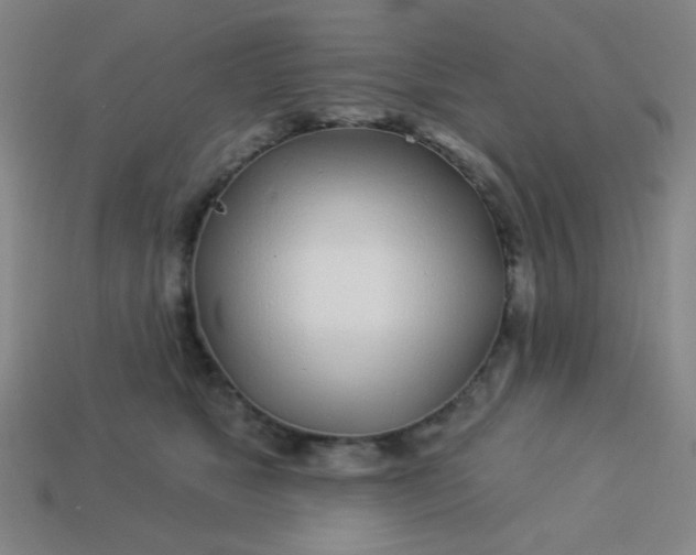 X0000113530517200910091225