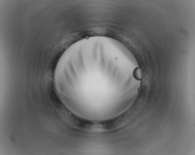 X0000113530518200910091225