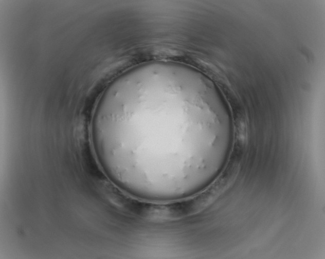 X0000113530519200910091225