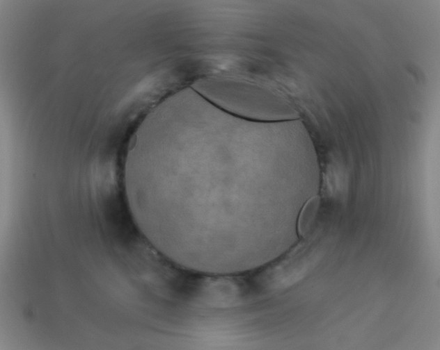 X0000113530520200910091225