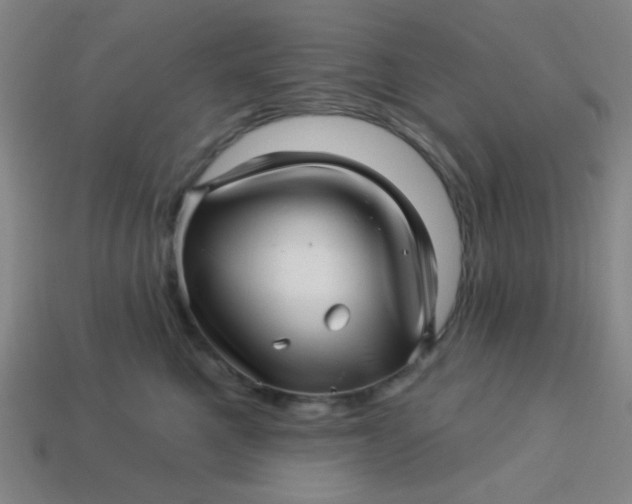 X0000113530521200910091225