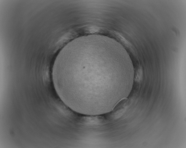 X0000113530524200910091225