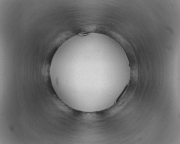 X0000113530525200910091225