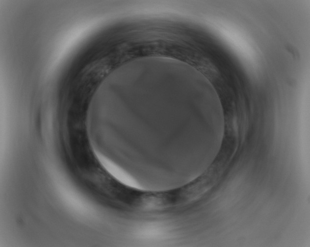 X0000113530526200910091225