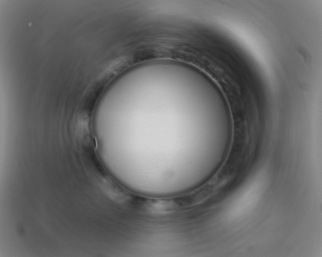 X0000113530527200910091225