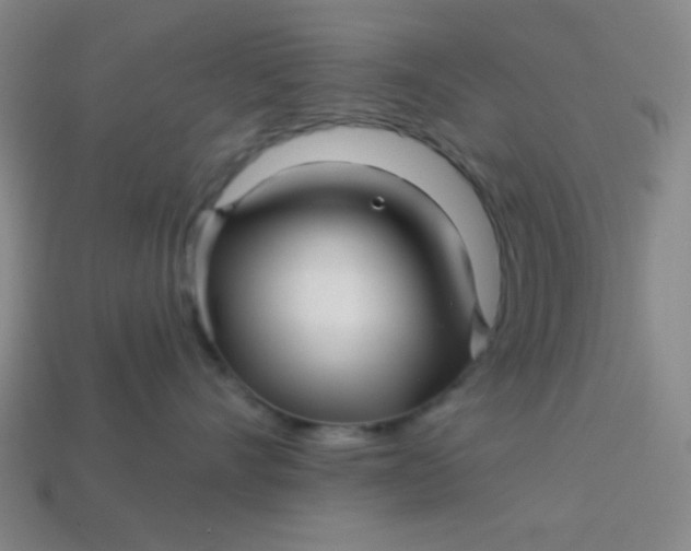 X0000113530528200910091225